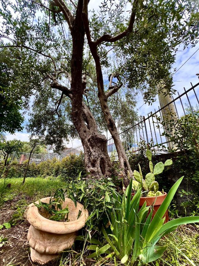 Casa Vacanze "Sautufao" سانتا فينيرينا المظهر الخارجي الصورة